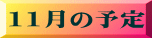 11���̗\��